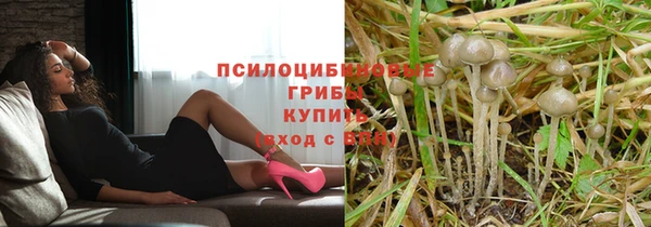 jwh Яровое