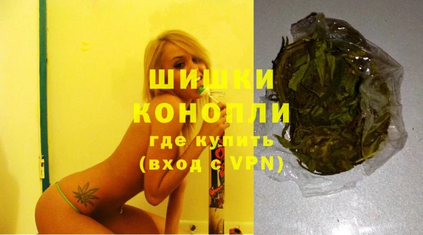 стаф Баксан