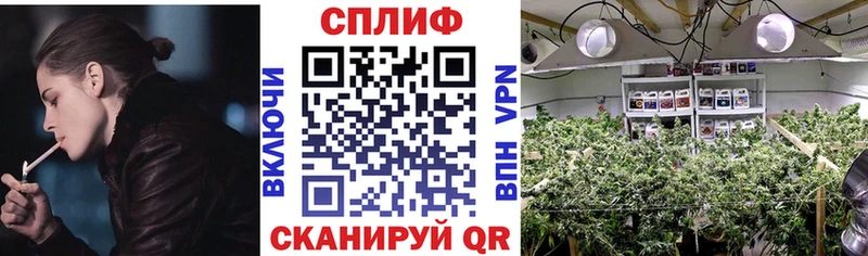 Канабис сатива  Нерюнгри 